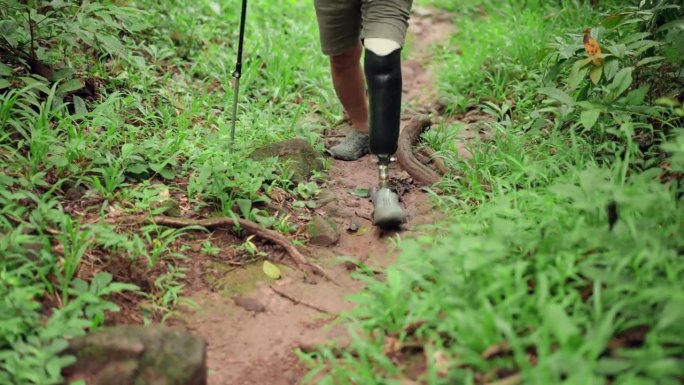 亚洲残障男子戴上假腿，在森林中拄着登山杖走在小路上，进行锻炼和自然探索;男性自然探险家进行徒步旅行和