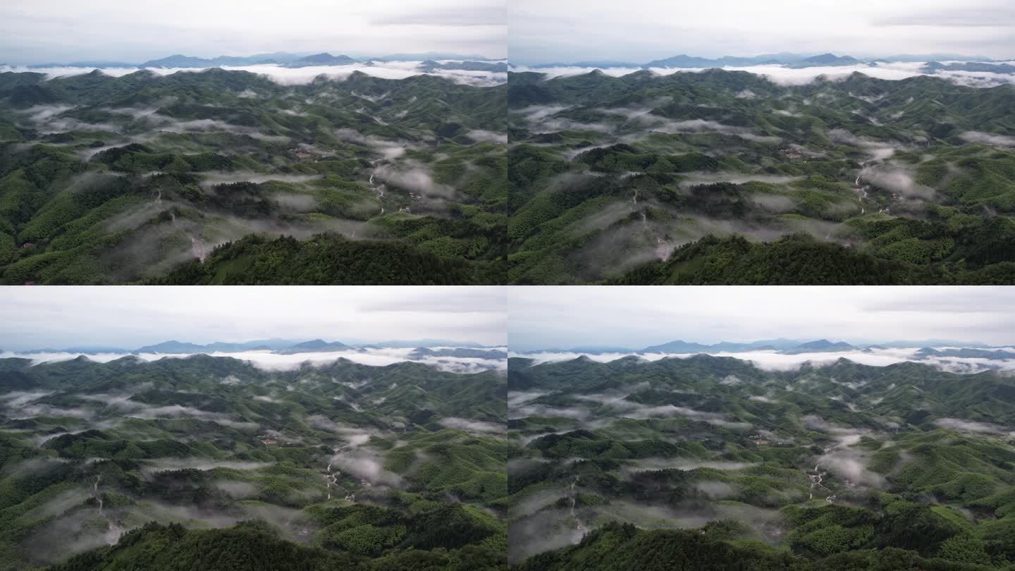 4K 航拍山体云海