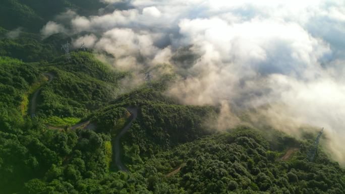 森林山脉   生态建设  云海日出