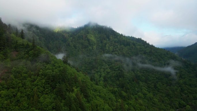 王朗国家级自然保护区 四川绵阳平武县