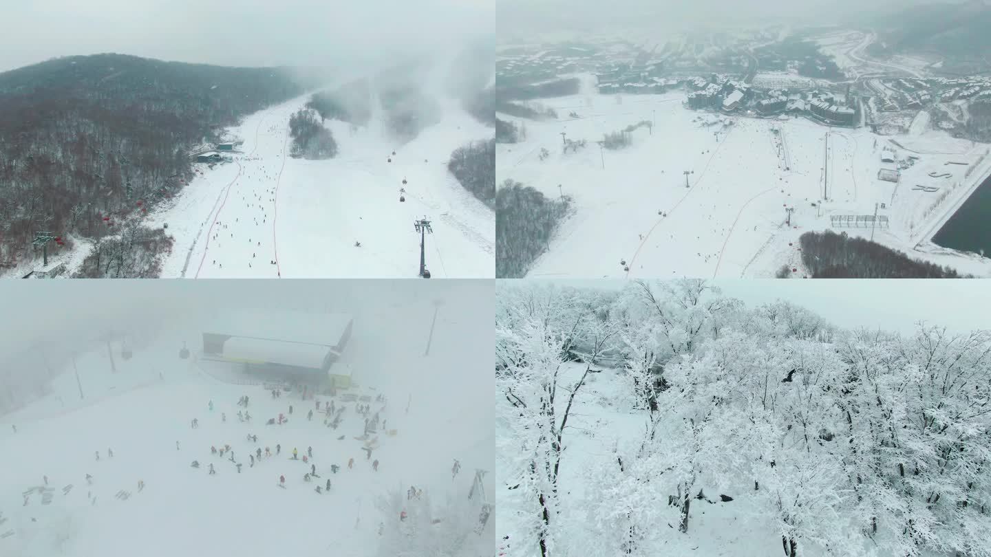 滑雪场 滑雪人多 山顶雾凇