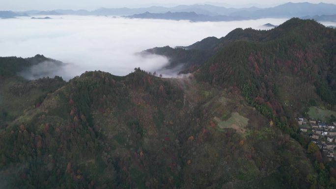 无人机航拍安徽阳山土楼云海风光