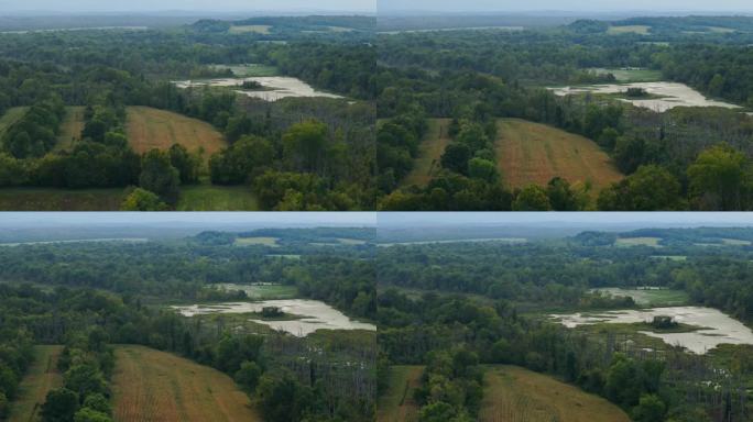 马里兰湿地4K分辨率无人机野外
