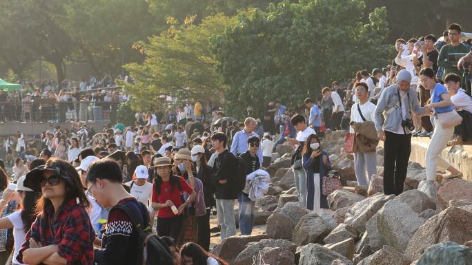 深圳湾公园海鸥