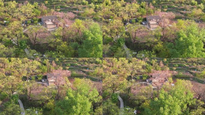 航拍威海市里口山王家疃村春季光影风景