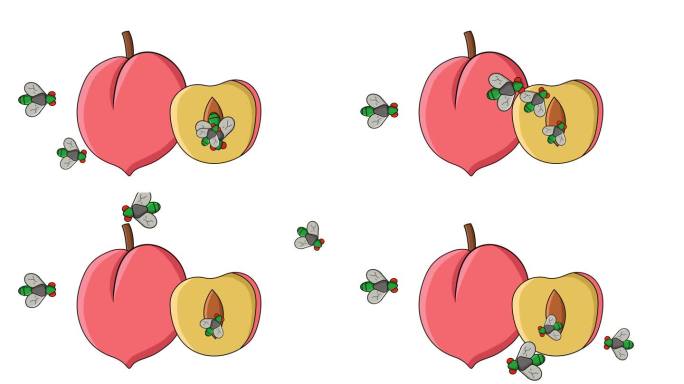 桃子被苍蝇攻击的动画