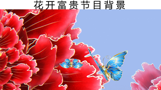 牡丹春节节目背景