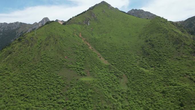 王朗国家级自然保护区 四川绵阳平武县