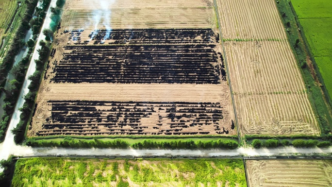 稻田收割后农民在焚烧秸秆产生浓烟航拍4K