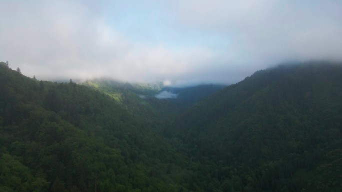 王朗国家级自然保护区 四川绵阳平武县