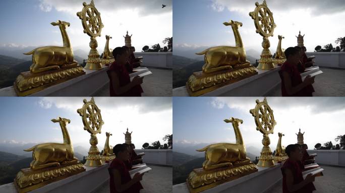 尼泊尔南摩布达创古寺喇嘛念经