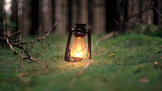 古老的灯笼发出的微弱的光模糊地照亮了森林