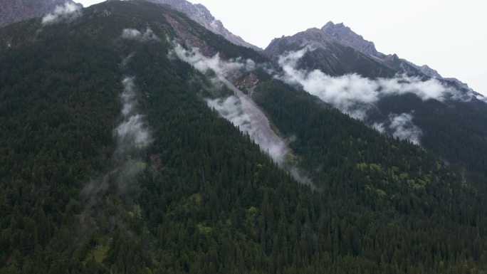 王朗国家级自然保护区 四川绵阳平武县