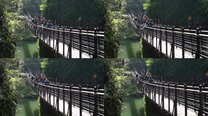 4K游客过悬索桥实拍视频