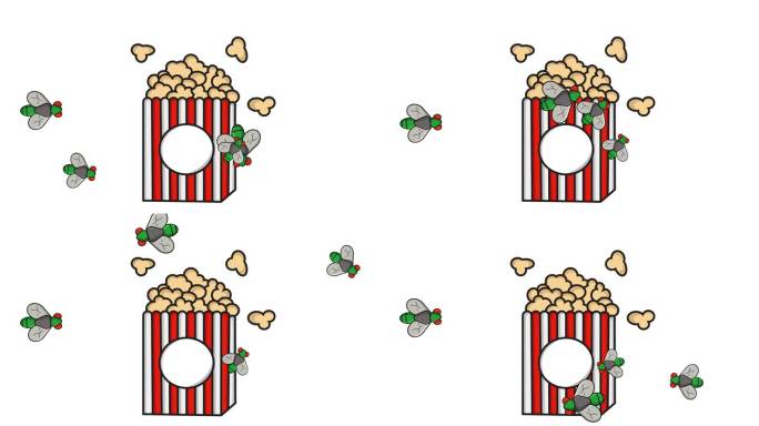 爆米花被苍蝇攻击的动画