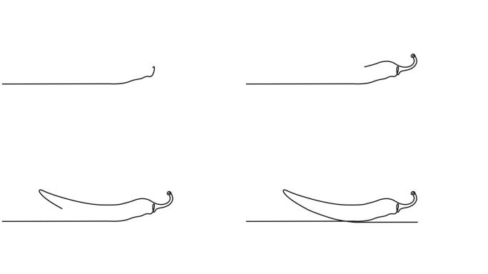 辣椒动画视频在连续的线条风格。