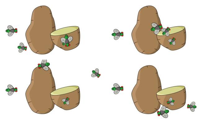 土豆被苍蝇攻击的动画