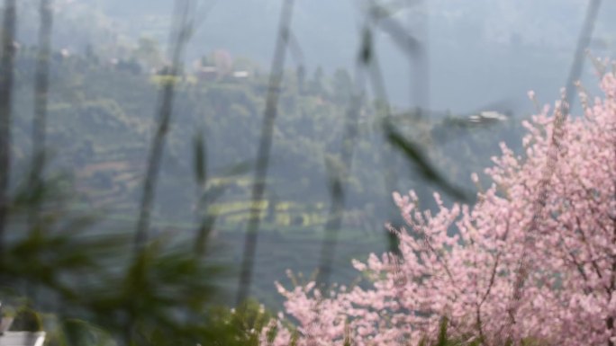 尼泊尔南摩布达创古寺风景