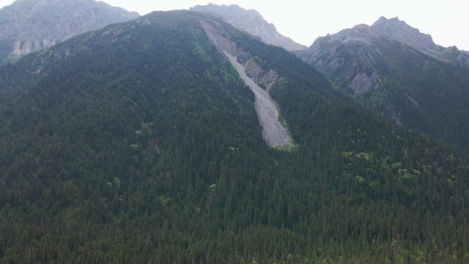 王朗国家级自然保护区 四川绵阳平武县