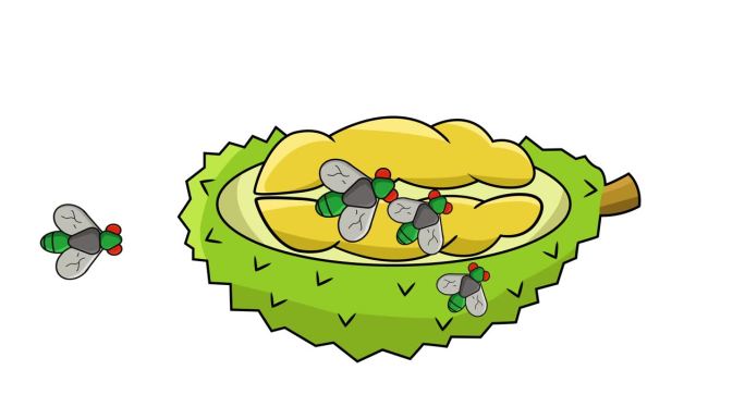 榴莲被苍蝇攻击的动画