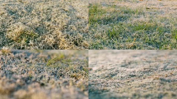 结霜的草地