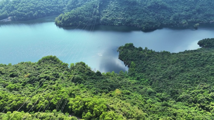 航拍深圳塘朗山户外梅林水库自然风景