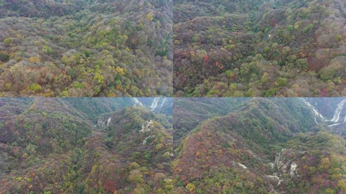 航拍云海秦岭云海秋季风景