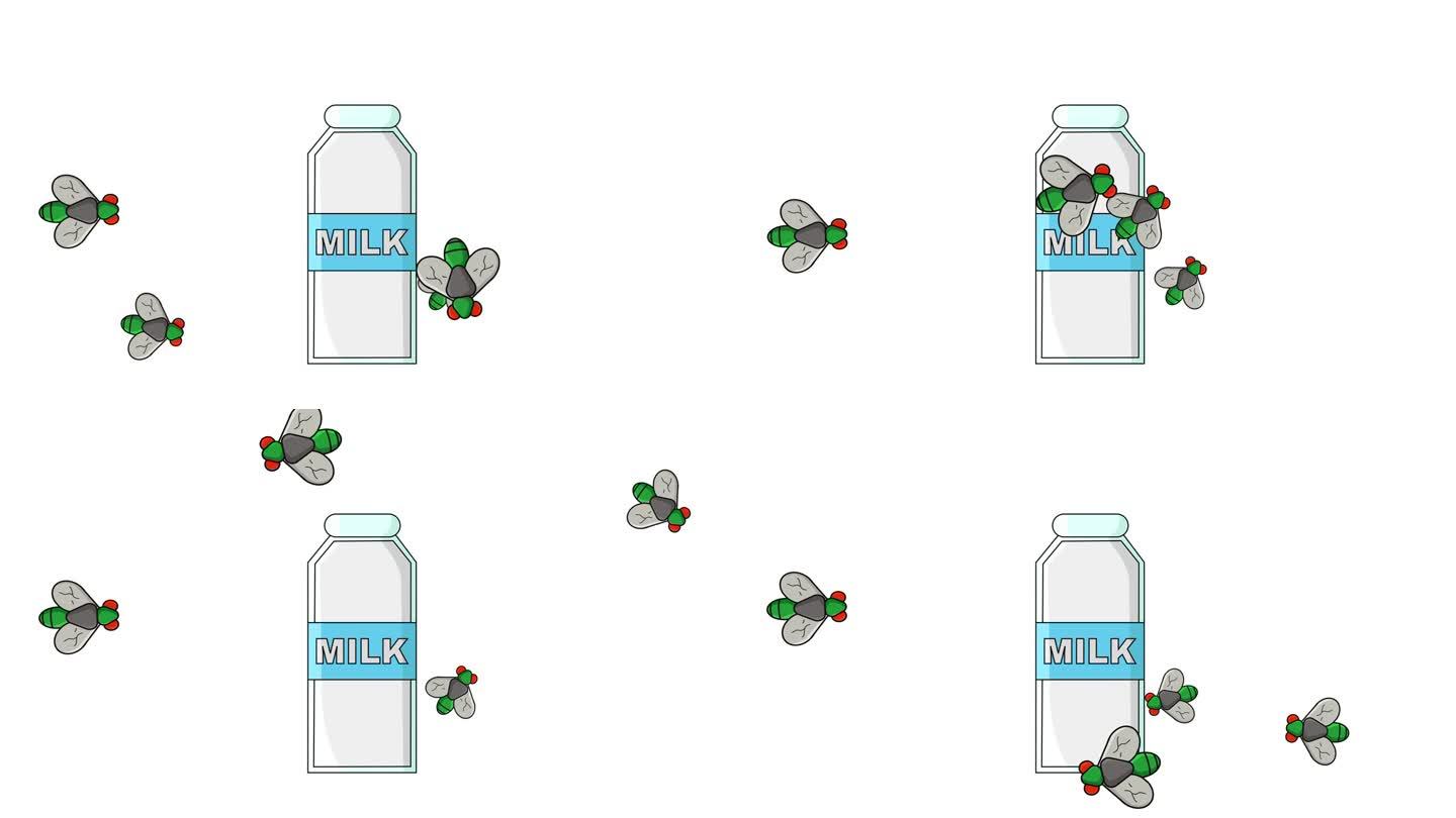 苍蝇光顾牛奶瓶的动画