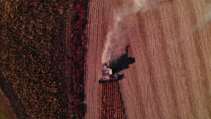 来自收割机的空中尘埃轨迹，非转基因大豆收获，乔治亚州霍金斯维尔