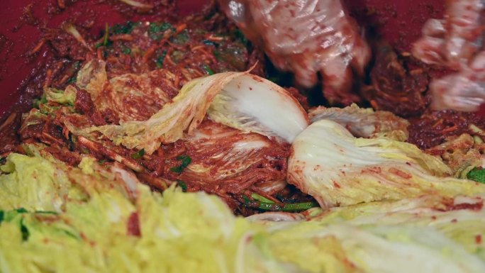 制作传统韩国菜泡菜的过程。