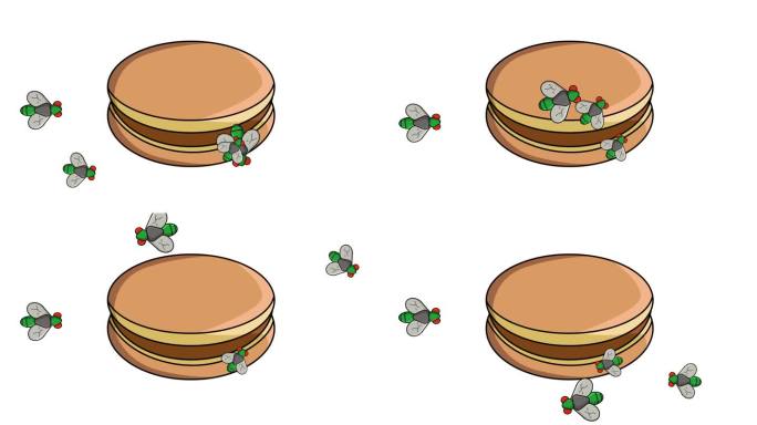 烧饼被苍蝇攻击的动画