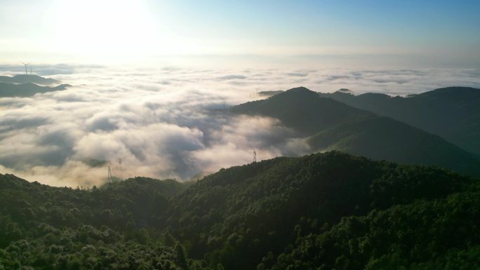 森林山脉   生态建设  云海日出