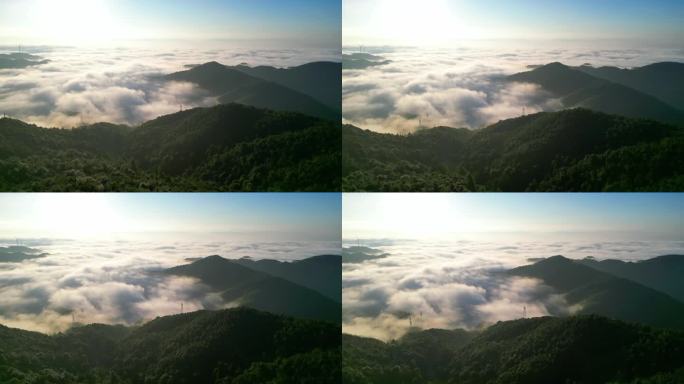 森林山脉   生态建设  云海日出