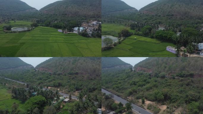 印度奥里萨邦普里的绿色稻田鸟瞰图