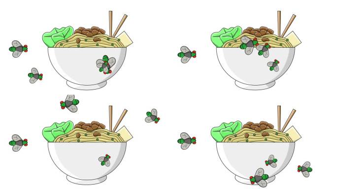 鸡面被苍蝇攻击的动画