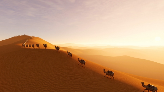 4K 人文沙漠骆驼 一带一路 丝绸之路