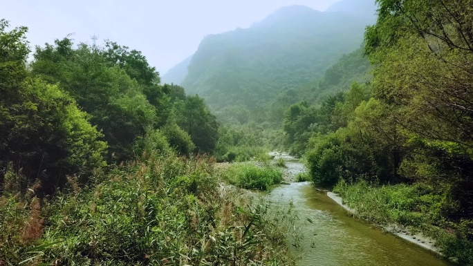 山谷里的溪水