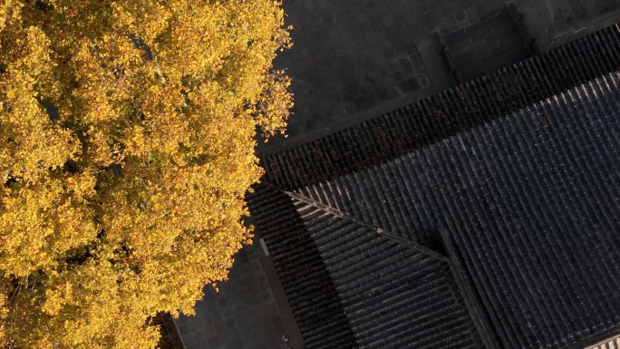 航拍洛阳白马寺