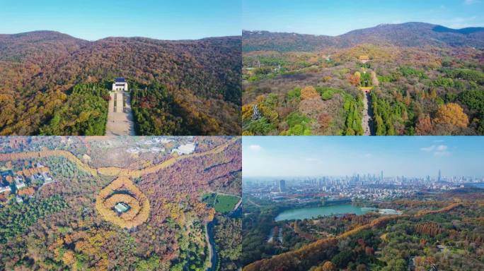 【9分钟】南京秋景合集 中山陵 明孝陵