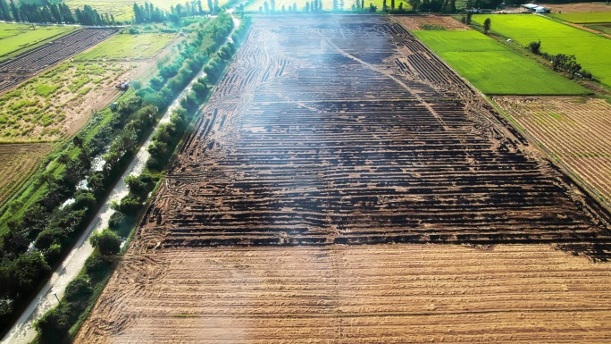 稻田收割后农民在焚烧秸秆产生浓烟航拍4K