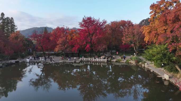 天平山枫叶