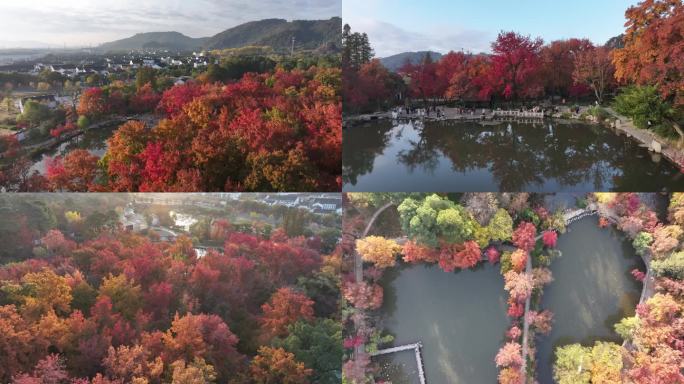 天平山枫叶