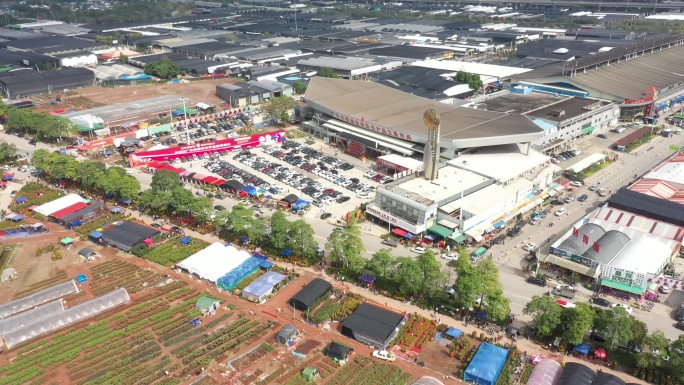 中国广东省广州市芳村花鸟鱼虫新世界