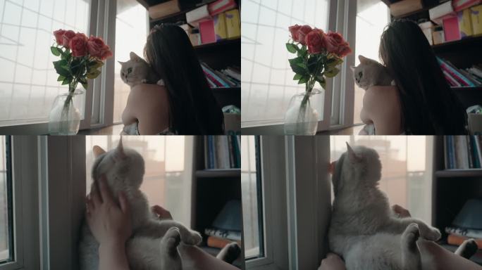 女孩在窗台边撸猫看夕阳