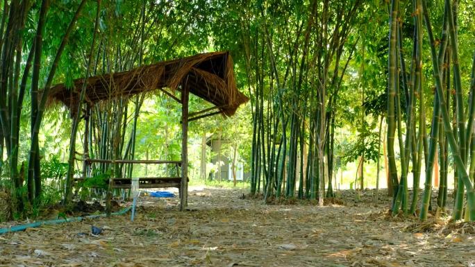 美丽的绿竹园林风光，有一个木制的亭子供人休憩。