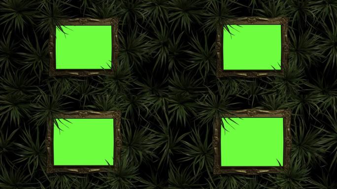 从顶视图看，带有绿色屏幕内容的相框被蜘蛛植物覆盖