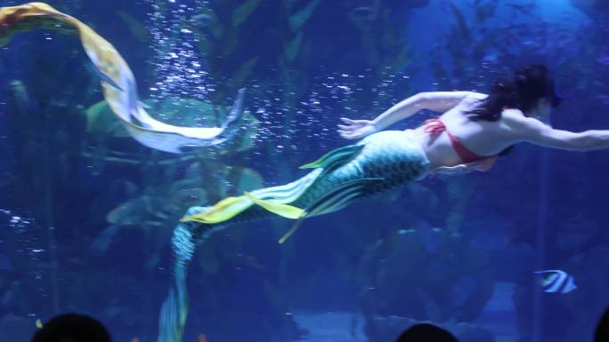 【4K】海底世界美人鱼表演