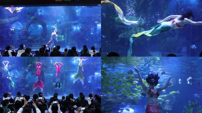 【4K】海底世界美人鱼表演