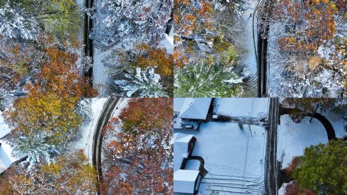 直接空中跟踪在积雪的道路在秋天。