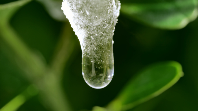 冰雪融化滴水